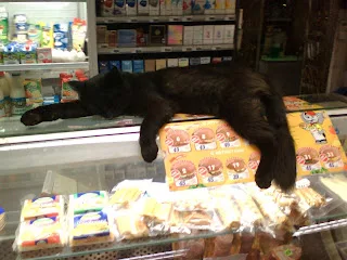 черная кошка на прилавке смайк